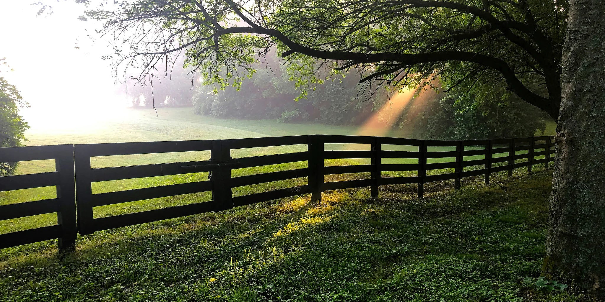 Every journey begins in the stillness—until a spark breaks through. Welcome to ART GOLD.